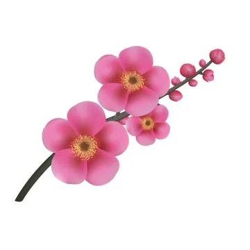 Sakura flowers Stock Illustration