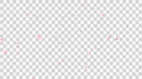 Sakura Flutter Lookdown 01 Loop HD Stock Footage 312511730