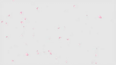 Sakura Flutter Side 02 Loop HD Stock Footage 312511741