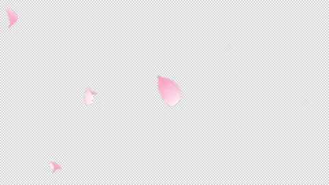 Sakura Flutter Side 03 Loop HD Stock Footage 312511746