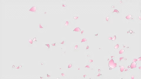 Sakura Flutter Slow 01 HD Stock Footage 312511753