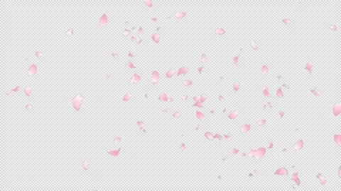 Sakura Flutter Slow 02 HD Stock Footage 312511757