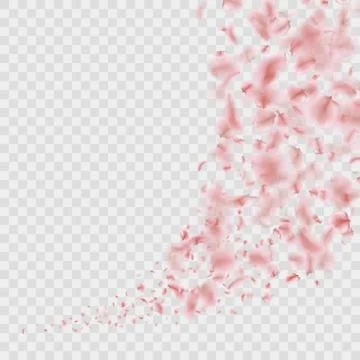 Sakura flying downwind petals on wind isolated. EPS 10 vector Stock Illustration