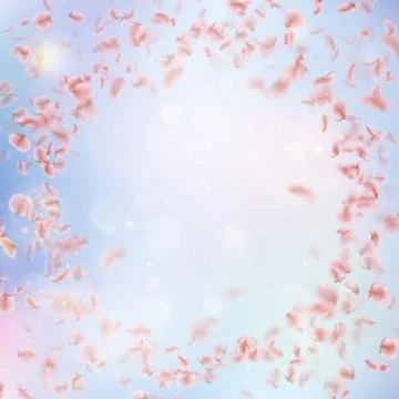 Sakura flying downwind petals on wind. EPS 10 vector Illustrazione stock