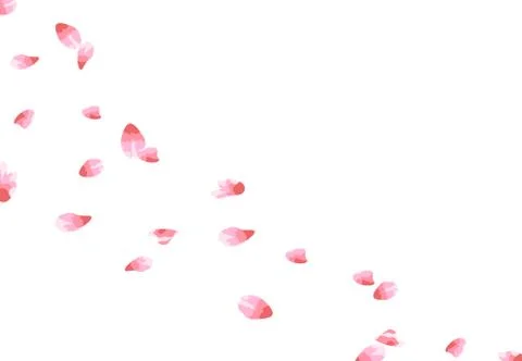 Sakura. Flying petals in the wind. isolated on white background. illustration Stock Illustration