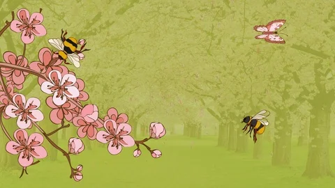 Sakura Stock Footage 125337474