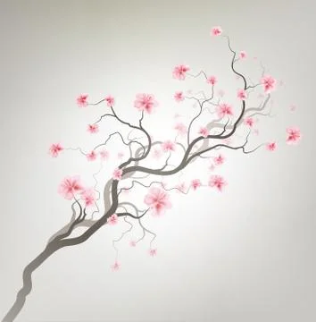 Sakura Stock Illustration