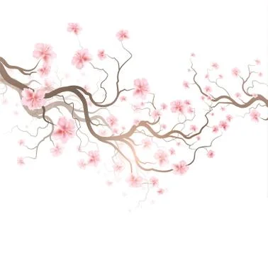 Sakura Illustrazione stock