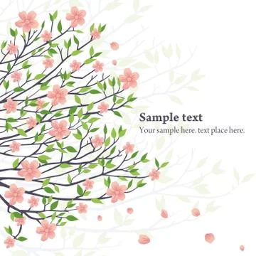 Sakura Illustrazione stock