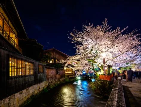 Sakura in Kyoto Stock Photos