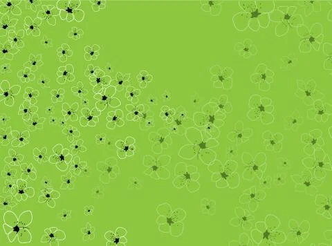 Sakura on light background. Sakura vector flower. Vector floral print. Bloomi Stock Illustration