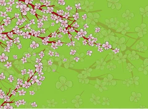 Sakura on light background. Sakura vector flower. Vector floral print. Bloomi Stock Illustration