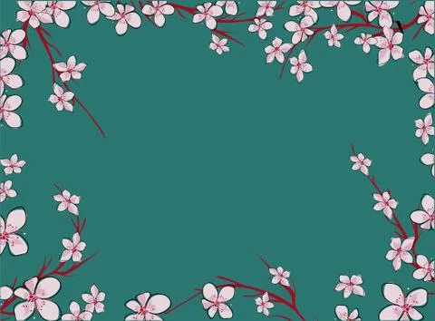 Sakura on light background. Sakura vector flower. Vector floral print. Bloomi Stock Illustration