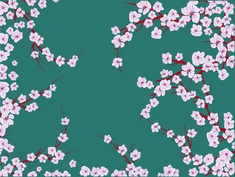 Sakura on light background. Sakura vector flower. Vector floral print. Bloomi Stock Illustration