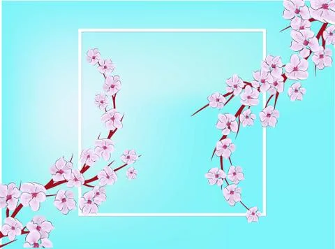 Sakura on light background. Sakura vector flower. Vector floral print. Bloomi Stock Illustration