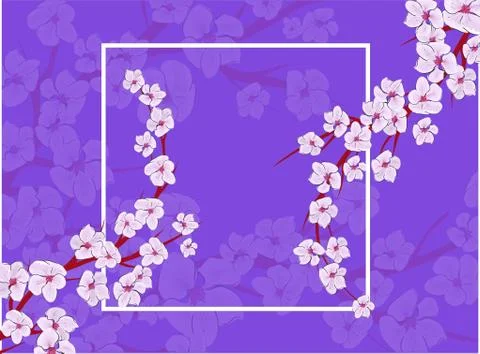 Sakura on light background. Sakura vector flower. Vector floral print. Bloomi Stock Illustration
