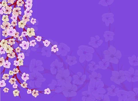 Sakura on light background. Sakura vector flower. Vector floral print. Bloomi Stock Illustration
