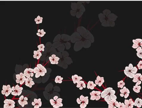 Sakura on light background. Sakura vector flower. Vector floral print. Bloomi Illustrazione stock