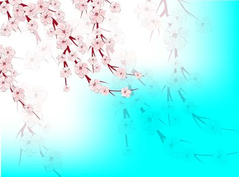 Sakura on light background. Sakura vector flower. Vector floral print. Bloomi Stock Illustration