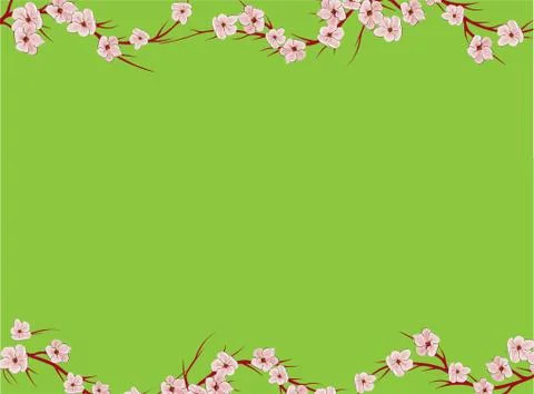 Sakura on light background. Sakura vector flower. Vector floral print. Bloomi Stock Illustration