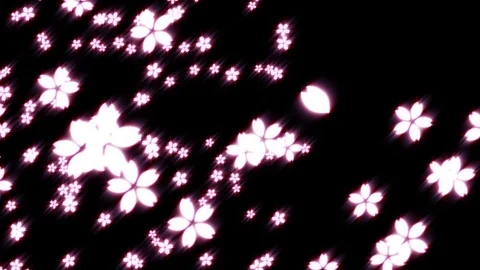Sakura light particle animation Stock Footage 117095185