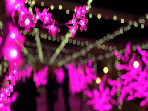 Sakura lights romantic glow close up Stock Footage 70386120