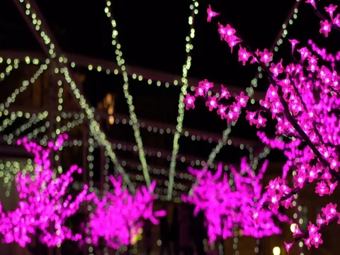 Sakura lights romantic glow Stock Footage 70385061