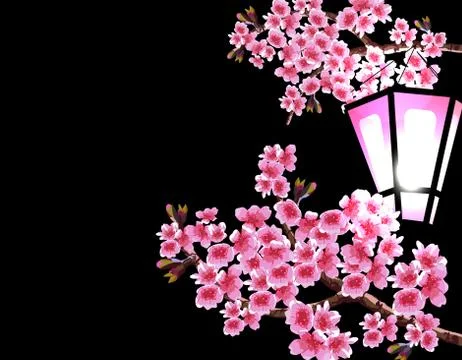 Sakura. Magnificent branches of a cherry tree with purple small flowers on a  Illustrazione stock