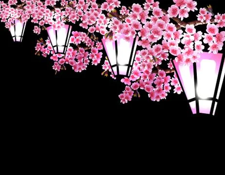 Sakura. Magnificent branches of a cherry tree with purple small flowers on a  Stock Illustration