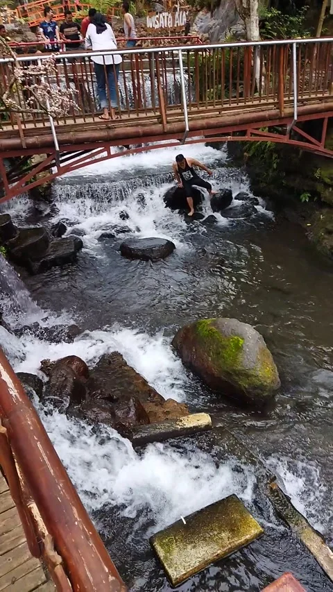 Sakura in Nature Stock-Footage 214346858