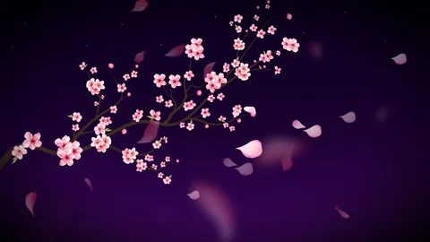 Sakura Night Dream Vídeos de archivo 334273197