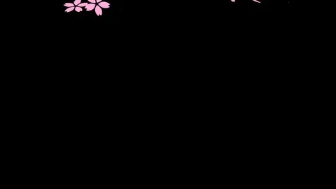Sakura particle animation Stock Footage 117094990