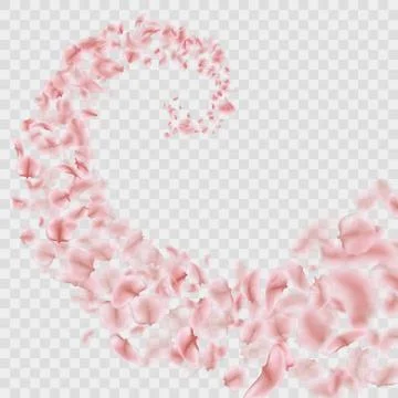 Sakura petals are falling in vortex transparent effect. EPS 10 vector Stock Illustration