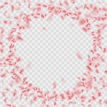 Sakura petals circle frame isolated on transparent background. EPS 10 vector Stock Illustration