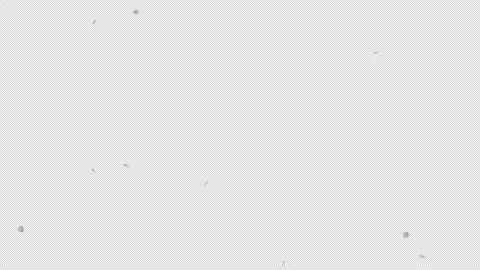 Sakura Petals Falling Animation Pack 스톡 동영상 330630615