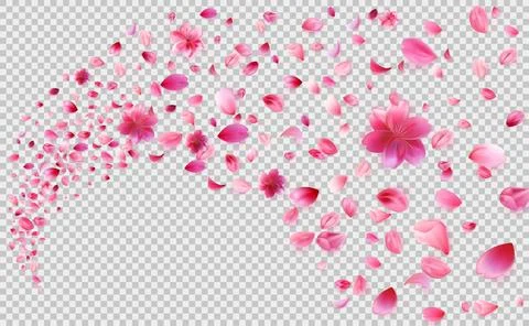 Sakura Petals Falling Background 库存插图