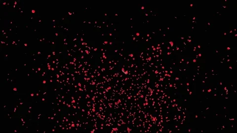 Sakura petals Falling down. Romantic Pink Red Flowers Falling Rain Loop Stock Footage 140771756