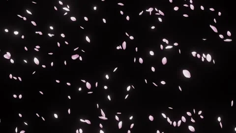 Sakura Petals Falling in Frame Composition Overlay 스톡 동영상 326194620