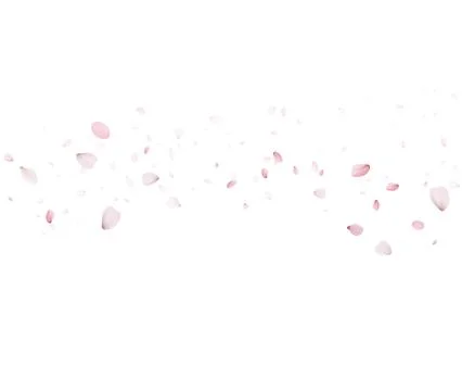Sakura Petals Flying In The Wind Vector Illustration Stock-Illustration