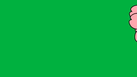 Sakura Petals Transition on Green Screen Stock Footage 320586494