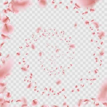 Sakura petals vortex isolated on transparent background. EPS 10 vector Stock Illustration