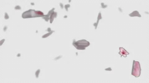 Sakura petals on the wind on alpha channel Stock-Footage 274896766