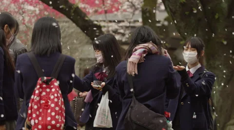 Sakura raining down on Japanese High School Students Stock Footage 49968173