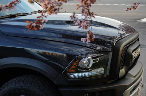 Sakura &amp; RAM Stock Photos