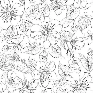 Sakura seamless pattern on white background. Stock Illustration