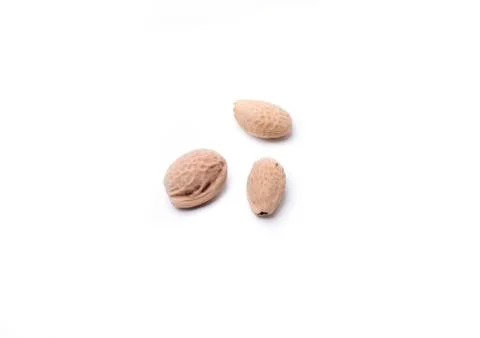 Sakura seeds Stock Photos