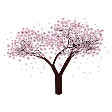 Sakura tree in bloom Ilustración de archivo