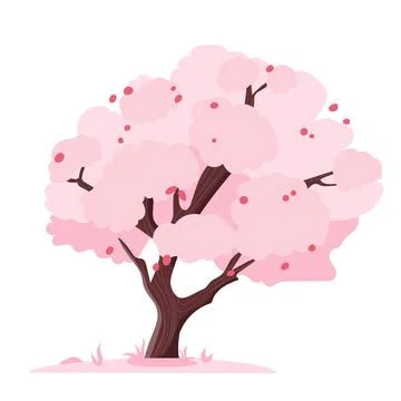 Sakura tree blooming in flat design. Japanese spring cherry blossoms. Vector  Stock Illustration