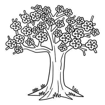 Sakura Tree Isolated Coloring Page for Kids Stock Illustration