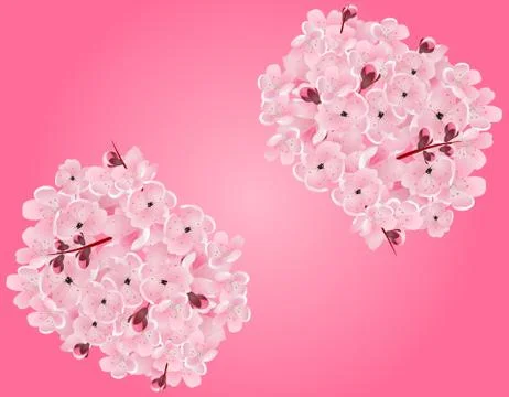 Sakura. Two bouquets of pink cherry blossoms. On a gradient pink background.. Stock Illustration